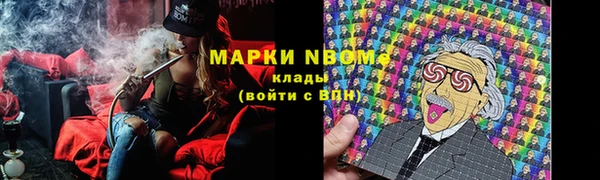 прущие крисы Новокубанск
