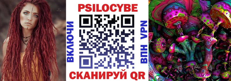 где купить   Кувшиново  Галлюциногенные грибы прущие грибы 